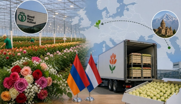 Հայկական ծաղիկը՝ դեպի Եվրոպա