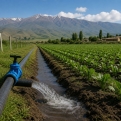 Սոթքում նոր ոռոգման համակարգ է շահագործման հանձնվել