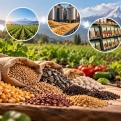 Հայաստանում սերմերի վաճառքի հետագծելիության համակարգի բացակայությունը խնդիր է ստեղծում շուկայում